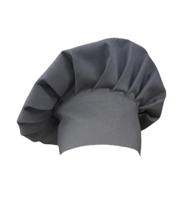 GPTEKS  Gri Aşçı Mantar Kepi