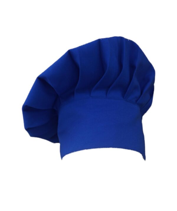 GPTEKS  Mavi Aşçı Mantar Kepi