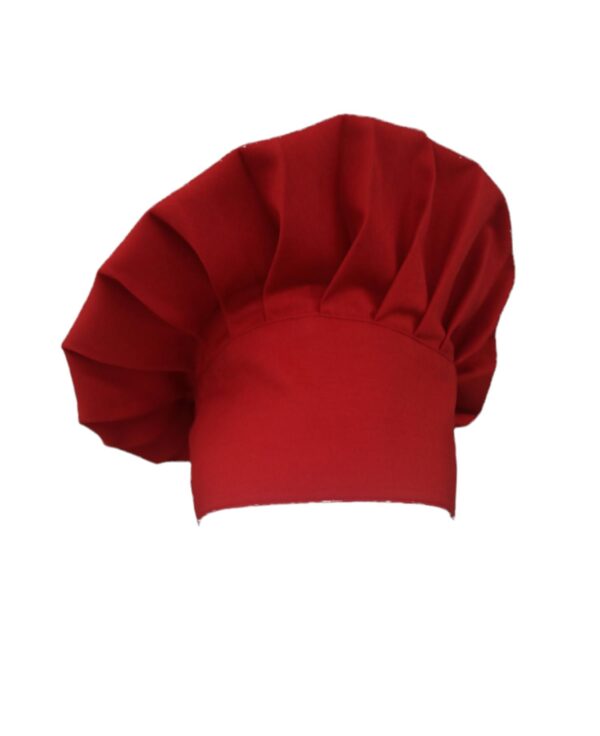 GPTEKS  Kırmızı Aşçı Mantar Kepi